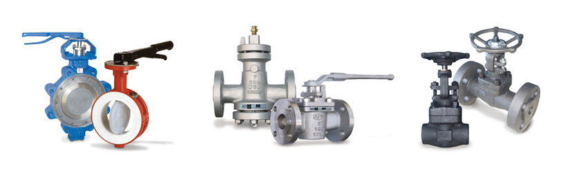 APV - Australian Pipeline Valve